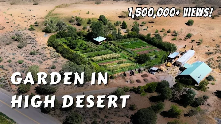 Permaculture Garden In The High Desert