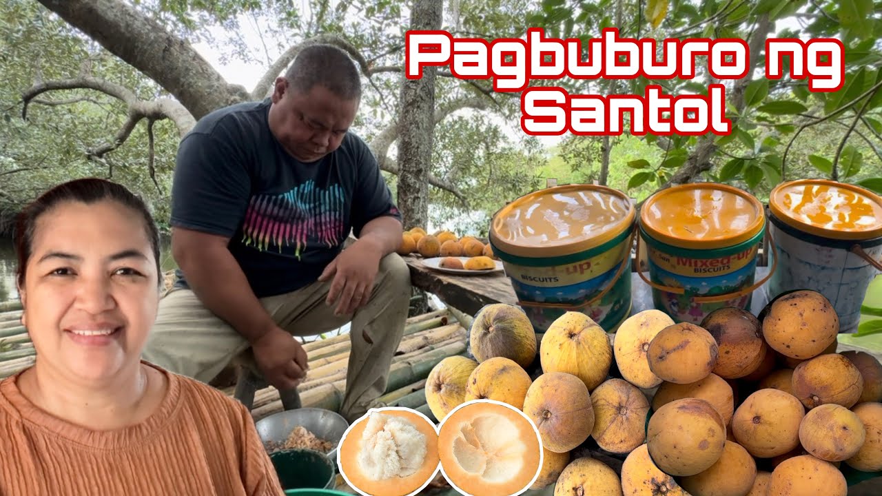 Paano magburo  ng Santol + Nagluto ako ng Sinantol na may Alimango