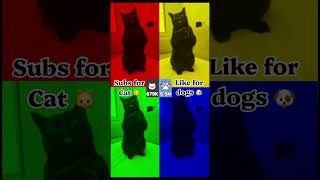 Which one did you get ?? #cat part-4
