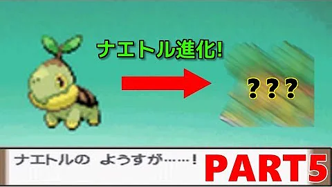 ポケモンプラチナ ナエトル