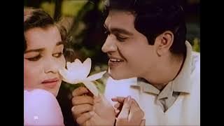 Champakali Dekho Jhuk Hi Gayi Re || Ziddi || Mohammed Rafi, Asha Bhosle || S D Burman|| HD Video