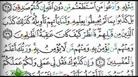 مصحف التجويد صفحة 213 إبراهيم الأخضر 🕋🕋