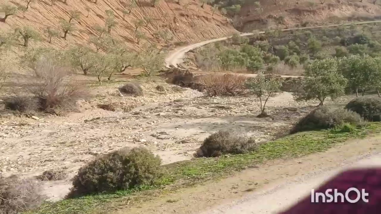 رايحين شيح الحديد 🥰🥰