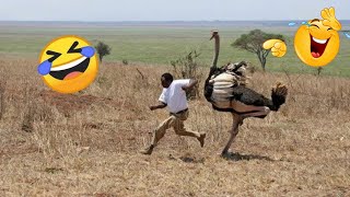 TRY NOT TO LAUGH 😆 Best Funny Videos Compilation 😂😁😆 Memes PART 213