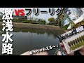 【チニング】千葉でフリーリグでキビレ、クロダイが釣れるのか? ゴールデンウィークはチニング始めてみる?