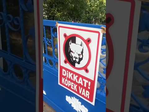 Lvbel C5 Onlar Arkadan Havlarlarlar 