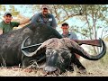 Zimbabwe Buffalo Hunt with Chad Allen and Michelle Buchanan - full movie 2021