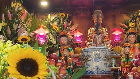 Cầu Cho Quốc Thái Dân An - Mưa Thuận Gió Hoa - Đại Nạn Vượt Qua