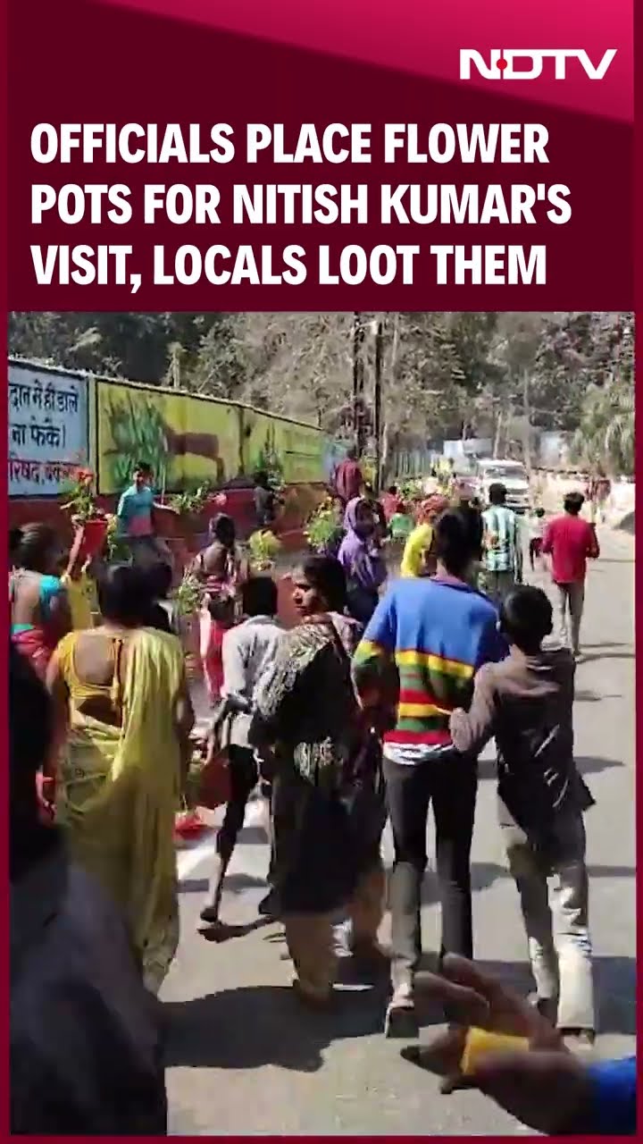 Bihar News | Officials Place Flower Pots For Nitish Kumar's Visit, Locals Loot Them