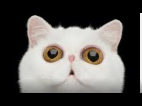 Уотики - YouTube