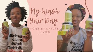 My Wash Hair Day | Koils By Nature Review