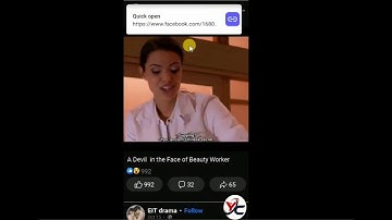 Downloading  Facebook   videos  with  Phoenix  Browser