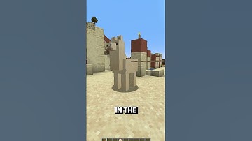 Infinite LAMA caravan in minecraft new leash update