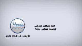 Panda Investing Promo برومو شركة باندا انفستينغ
