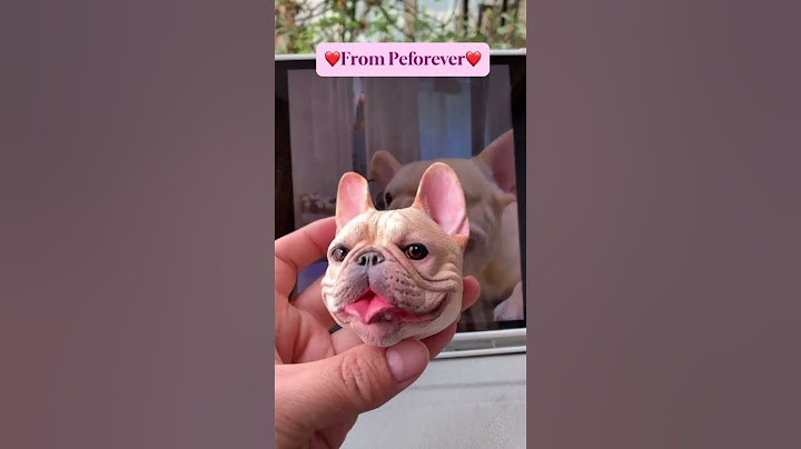 “The best gift for my paws 🐾 ” #cute #cutedog #puppy #custom #handmade #dog #doglover