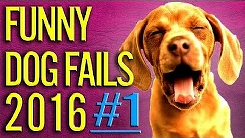 TRY NOT TO LAUGH or GRIN - Funny Kids Fails Compilation 2016 Part 8 by Life Awesome