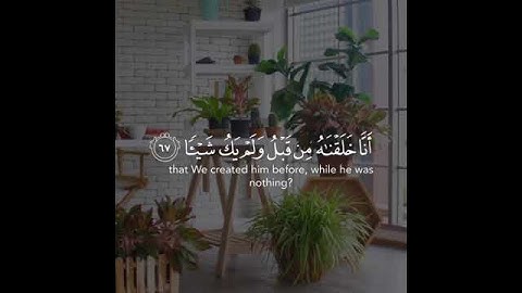 القارئ ناصر القطامي سورة (مريم)