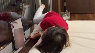 入院中のママとビデオ通話していると寂しさから覗き込む猫　ノルウェージャンフォレストキャット　A cat approaching mom's voice heard from a videophone