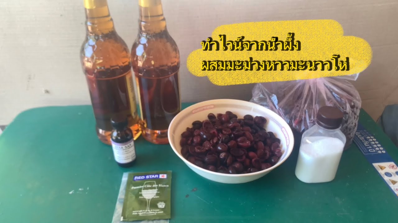 ทดลองทำไวน์น้ำผึ้งผสมมะม่วงหาวมะนาวโห่ ตอนที่ 1 Melomel (Mead