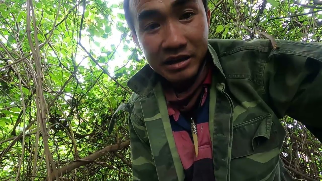 bẫy chồn gặp toàn quái vật rừng già