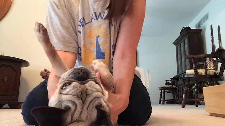 Exercises For Idiopathic Vestibular Disease