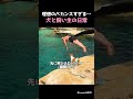 理想のバカンスすぎる…犬と飼い主の日常がエモい件w 🐶🌊 #犬のいる暮らし #癒やし動画