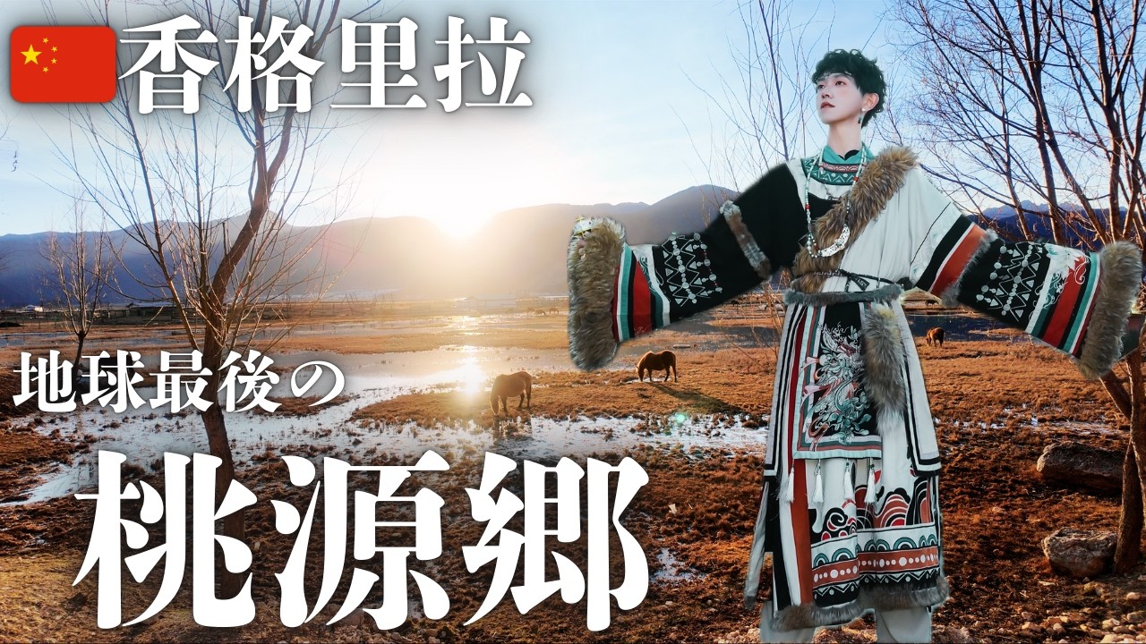 【🇨🇳香格里拉】中国に残されたユートピア。纳帕海（ナパ海）と独克宗（ドゥケゾン）古城の美しさ。