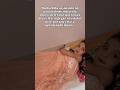 Ela manda em tudo 🤡🤣 #viral #humor #filha #casa #familia