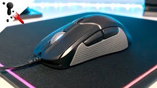 SteelSeries Rival 310 Review (Large, Optical, 92g, Omron Mech)