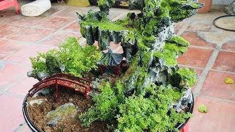 Nhưng cây làm tiểu cảnh mini rất đẹp , lại không mất tiền