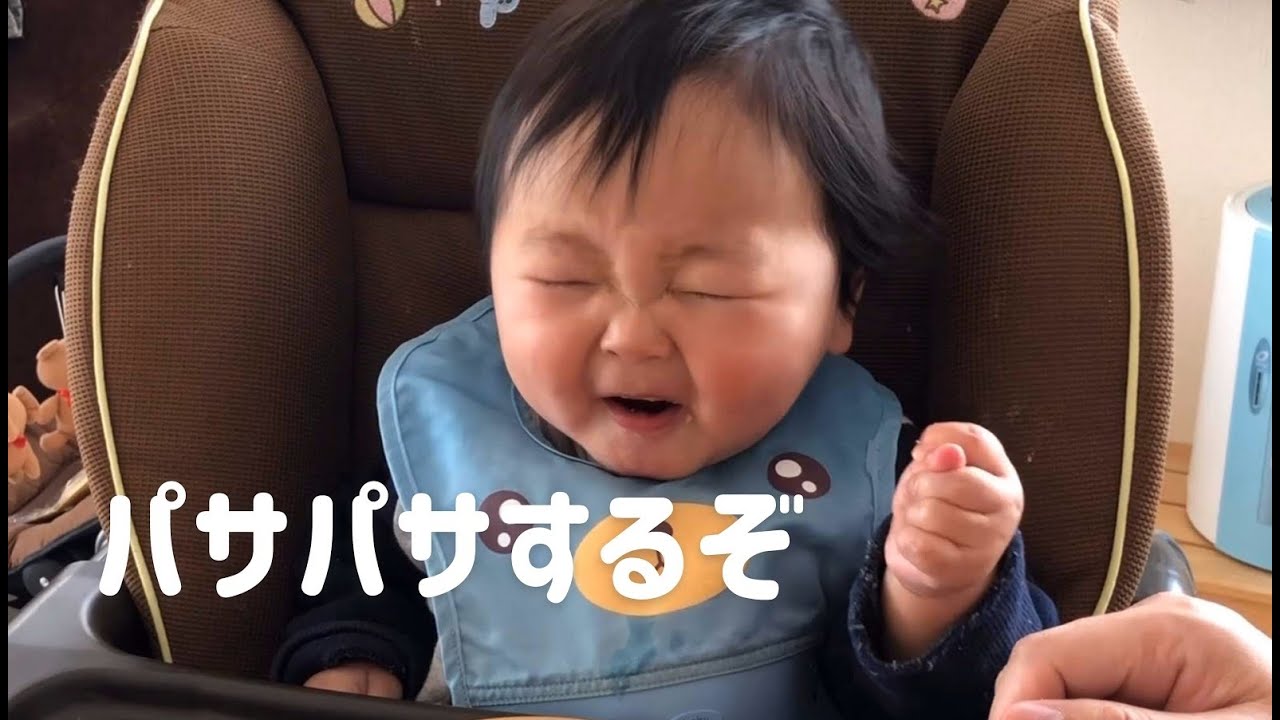 生後9ヶ月の離乳食 初めて蒸しパンを食べてみた 9 Month Old Baby Tried Steamed Bread For The First Time Youtube