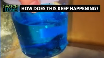 People Keep Finding Live Animals In PetSmart Dumpsters