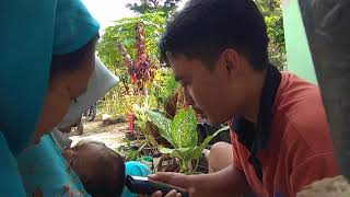 Cukur Rambut Bayi Mqz