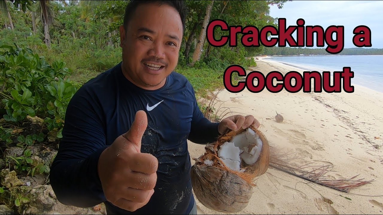 How To Crack Open A Coconut Without Any Tools Youtube