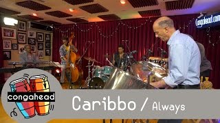 Caribbo performs Always chords