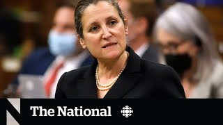 Freeland attack sparks questions about heavier security for cabinet ministers