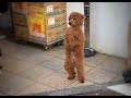 Cute Dog on two legs Cute Dog on two legs