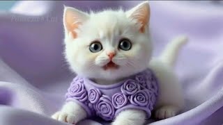 Proof That Talking Cats Are Better Than Therapy