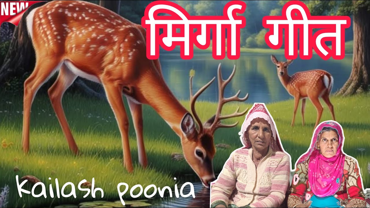 मिरगा भजन बहुत सुंदर ओर धमाकेदार गीत || बागड़ी गीत || कैलाश पूनिया ||