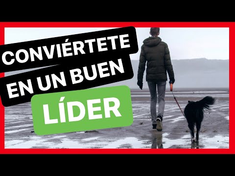 Video: ¿Cómo ser un líder canino?