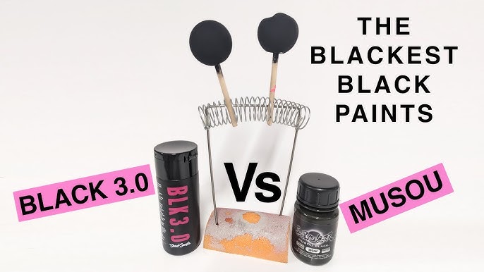 Testing The World's Blackest Paint! Black 3.0 