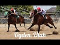 Carreras de Caballos en Ogden, Utah 25 de Junio 2023