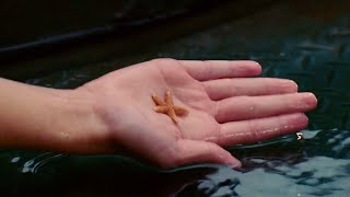 I Want You Guys To Have These Aquamarine 2006