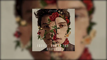 Shawn Mendes - Fallin' All In You (Acapella) | Xellow