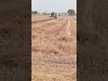 #tractor_lover#motivaction#viralshort#trandingshort#farming#tannu_rajput_315#viral