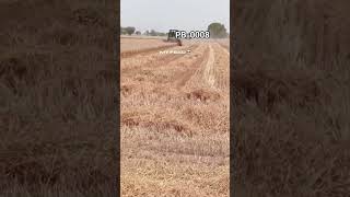 #tractor_lover#motivaction#viralshort#trandingshort#farming#tannu_rajput_315#viral