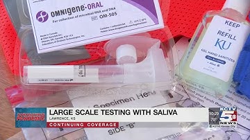 New saliva-based tests could help colleges return to campus