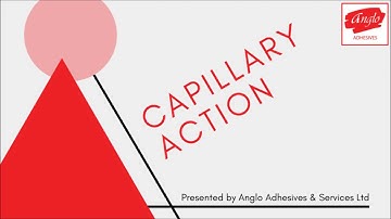 Capillary Action Demonstration