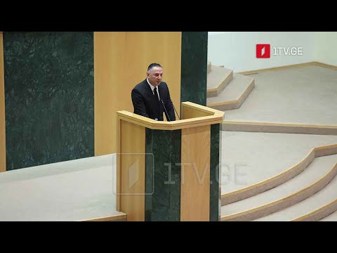 შინაგან საქმეთა მინისტრის მოსმენა პარლამენტში