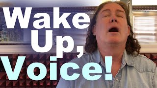 Wake Up, Voice!